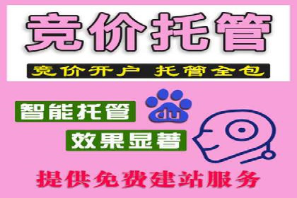 百度SEM推广的创意策略与效果评估